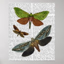Buscar steampunk posters Animals