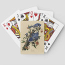 Buscar ilustrado barajas de cartas Pájaro
