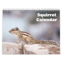 Buscar roedor calendarios Animal