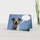Buscar jack russell terrier tarjetas De