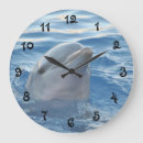 Buscar delfín relojes de pared animales