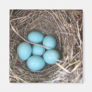 Buscar bluebird imanes Azul