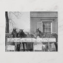 Buscar bienestar animal postales Caballo