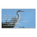 Buscar gran egret Foto