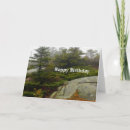 Buscar plantas de desierto tarjetas Foto