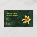 Buscar hemerocallis Lirio