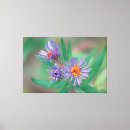 Buscar flores violetas lienzos Morado