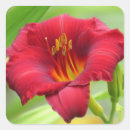 Buscar diurnas pegatinas Floral
