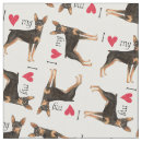 Buscar pinscher miniatura Minpin