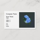 Buscar hortensia tarjetas de visita Jardín