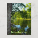 Buscar árbol oriental postales General y unisex