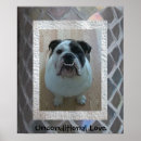Buscar perro fresco posters Bulldog