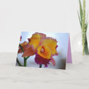 Buscar orquídeas hawaianas tarjetas Hawaiano