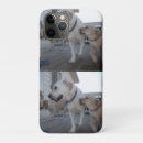 Buscar pipa iphone fundas Cachorro