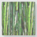 Buscar planta de bambú posavasos Árbol