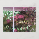 Buscar sombrillas tarjetas General y unisex