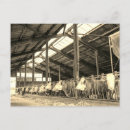 Buscar heno postales Animales