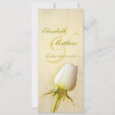 Buscar capullo invitaciones Rosa