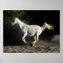 Buscar yegua posters Animal