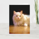 Buscar gatito sonriente postales Sonrisa