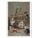 Buscar jaula de pájaros tarjetas Loro