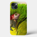 Buscar macaw ipad fundas Animal