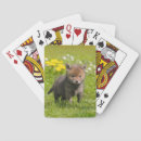 Buscar zorros barajas de cartas Para niños