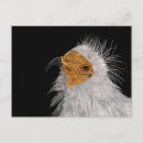 Buscar papel arrugado postales Blanco
