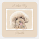 Buscar apricot pegatinas Albaricoque