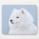Buscar samoyedo alfombrillas de raton Blanco