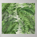 Buscar soldes posters Tropical