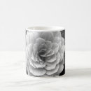 Buscar camelia tazas Naturaleza