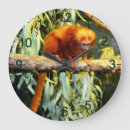 Buscar tamarin Primate