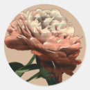 Buscar flor rosa roja pegatinas Rojo