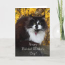 Buscar doblado posters Gato