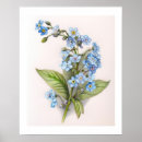 Buscar dibujo de lápiz posters Floral