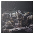 Buscar wolf azulejos Vida silvestre