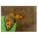 Buscar macro tablas cortar Naturaleza