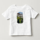 Buscar tibet camisetas Palacio de potala