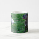 Buscar pedigrí tazas Cachorro
