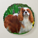 Buscar cavalier king charles spaniel cojines Animal