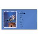 Buscar hembra tarjetas de visita Azul
