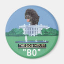 Buscar bo obama Presidente