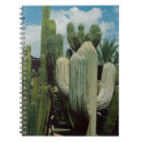 Buscar tucson libretas Desierto