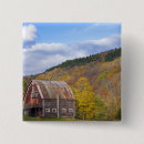 Buscar vermont chapas Árbol