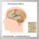 Buscar neurológico posters Neurología