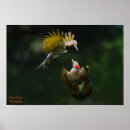 Buscar conflictos posters Naturaleza