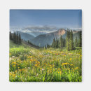 Buscar silverton Flor silvestre