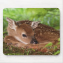 Buscar reposo alfombrillas de raton Adorable