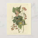 Buscar bichos postales Ilustracion